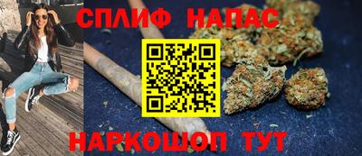 apvp Можга