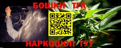 apvp Можга