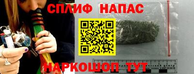 apvp Можга