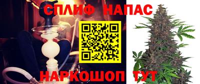 apvp Можга