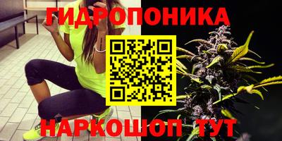 apvp Можга
