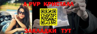 apvp Можга